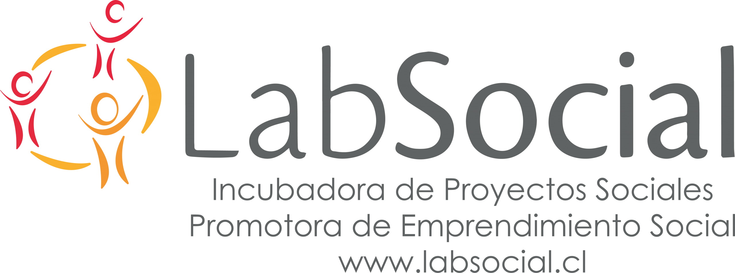 Organización Lab Social